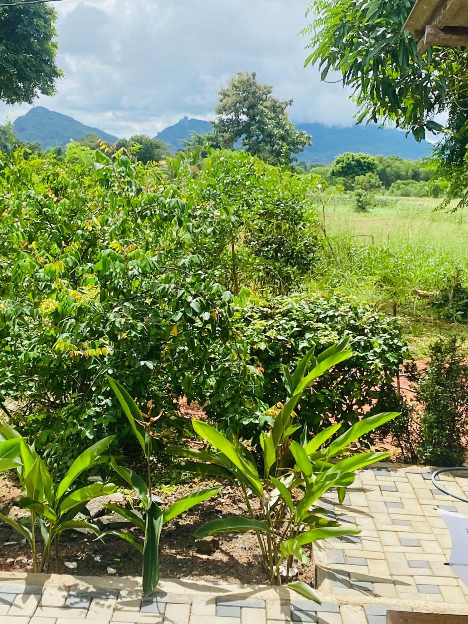 Fairview Dill Homestay Sigiriya Exterior photo