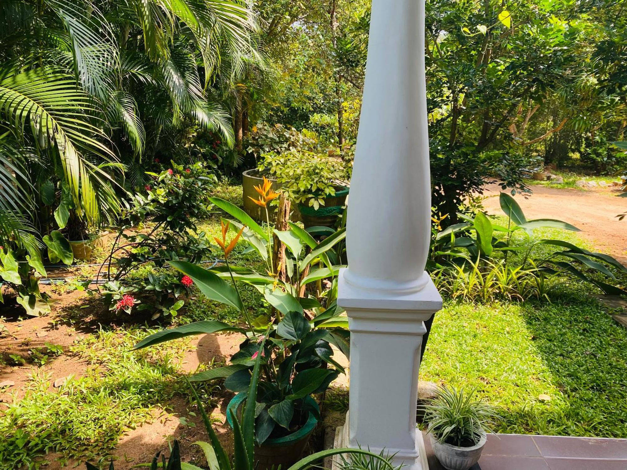 Fairview Dill Homestay Sigiriya Exterior photo