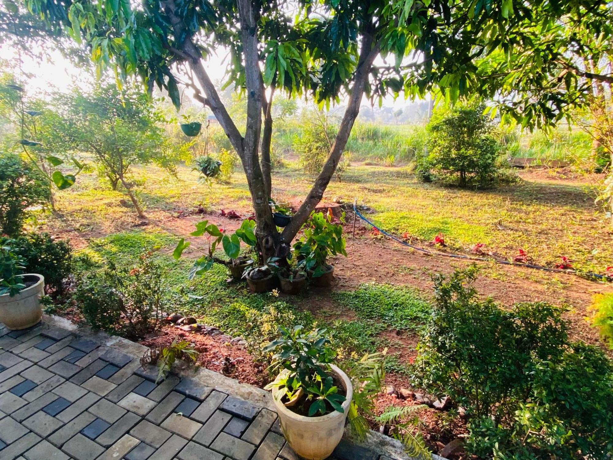 Fairview Dill Homestay Sigiriya Exterior photo